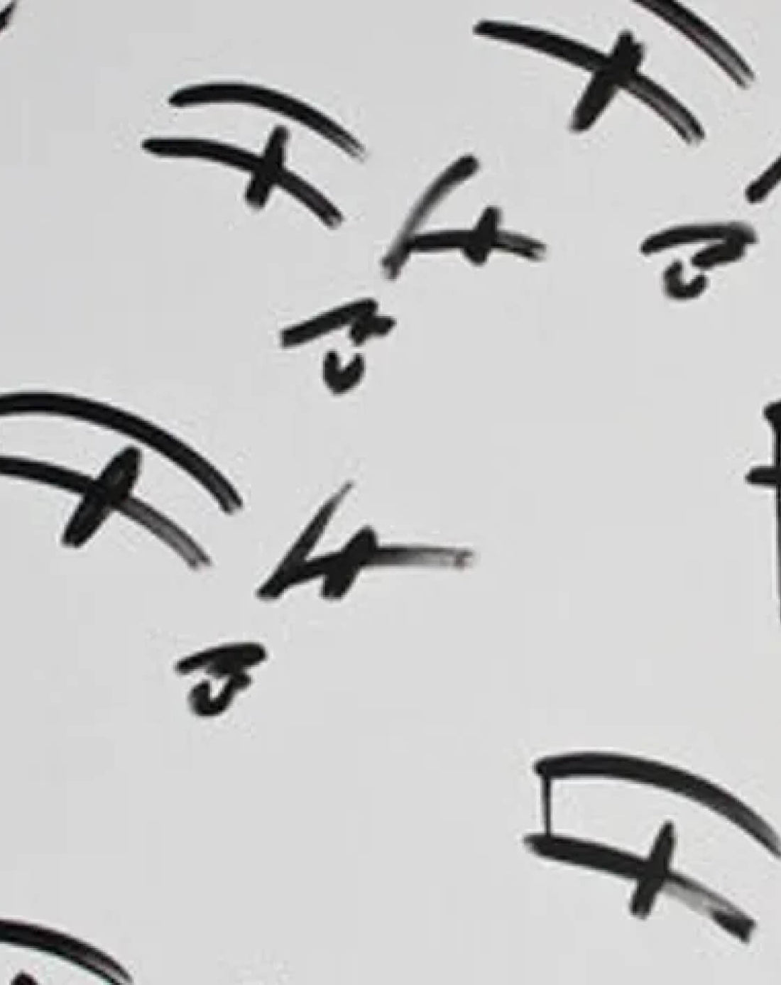 Lorem ipsum consectetur